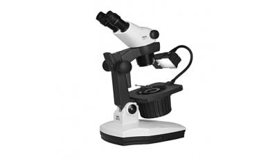 Estereo Microscopios